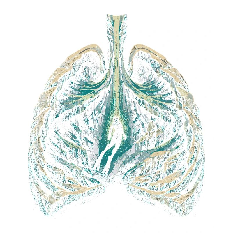Apnoetauchen Freitauchen