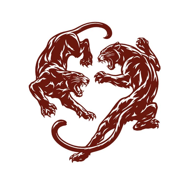 Kreis der Panther – Schattenkampf