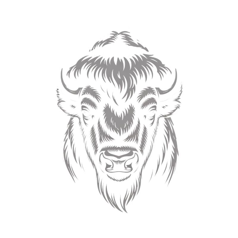 Gray bison head