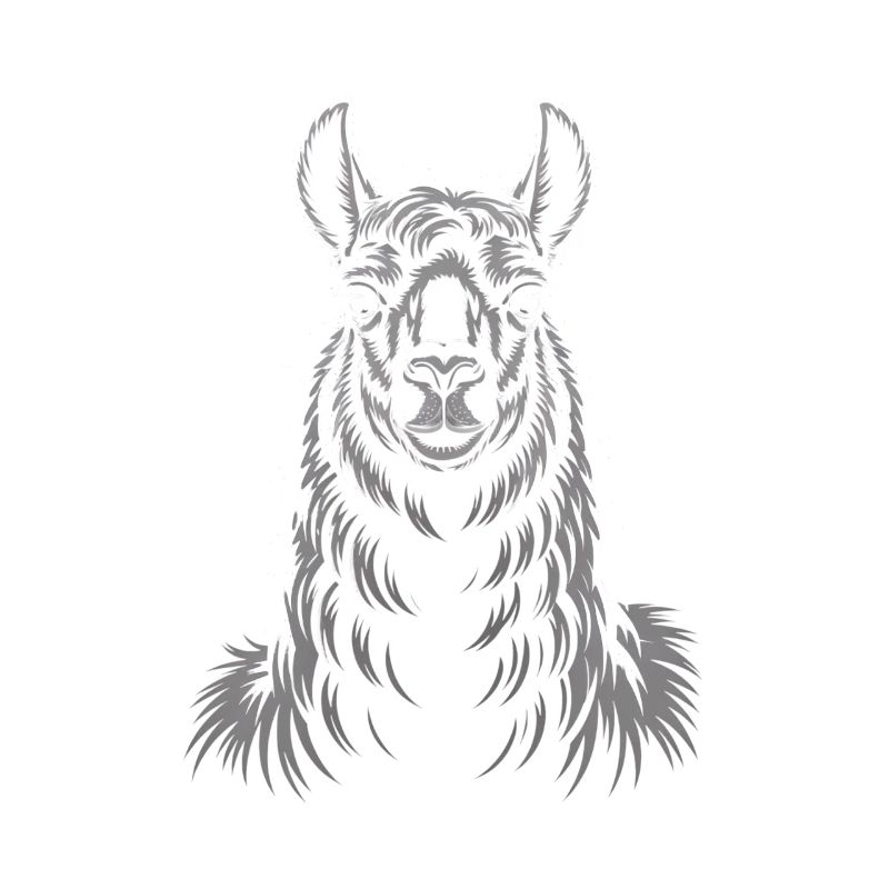 Llama Portrait
