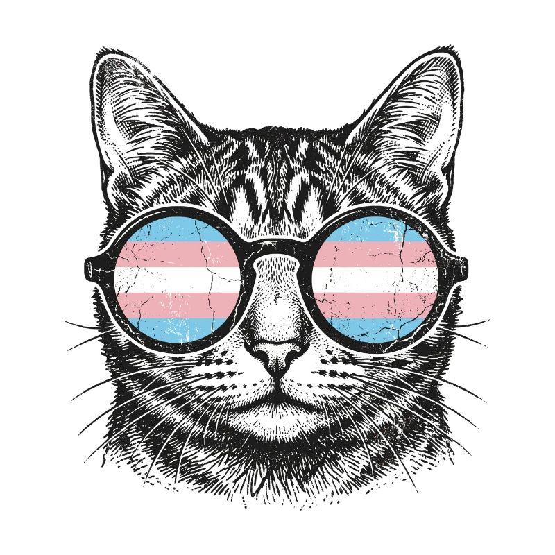 LGBT-Pride-Monat – Trans-Pride-Katze