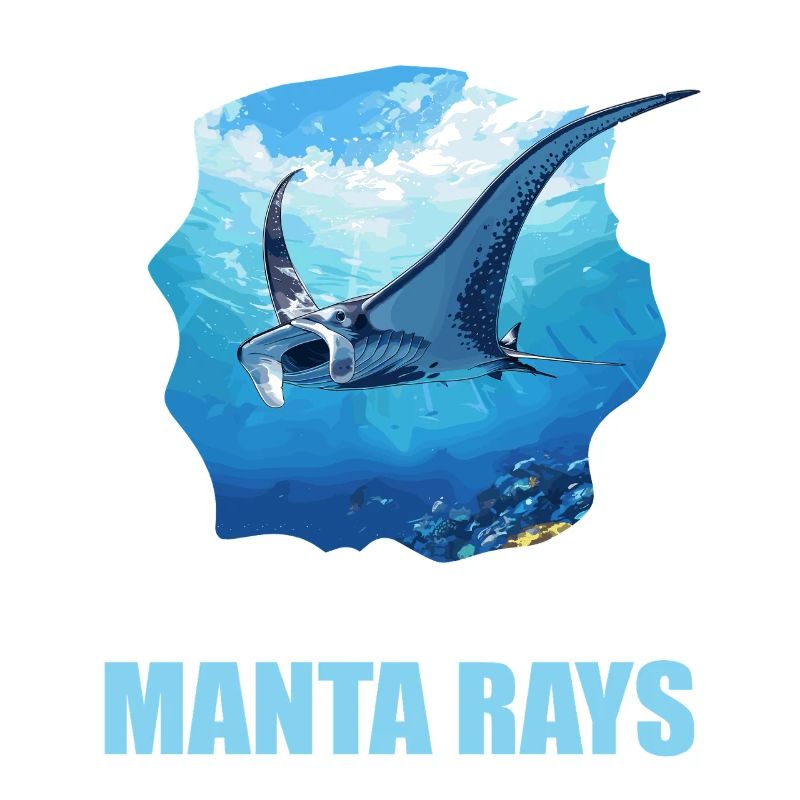 Rochen Mantarochen