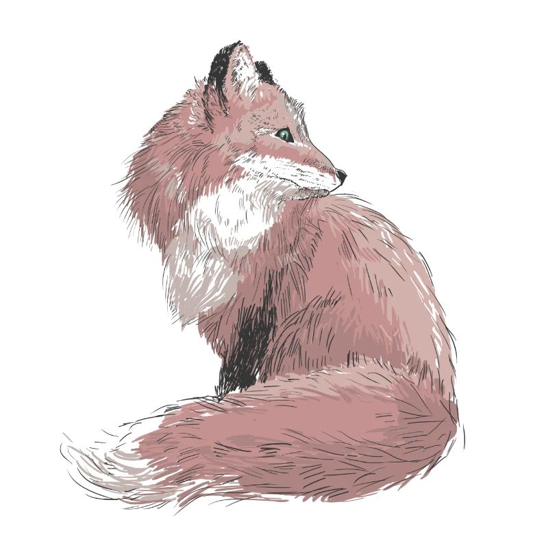 Fuchs