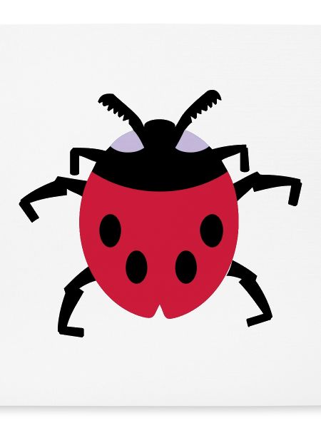 Marienkäfer / ladybug (3c)