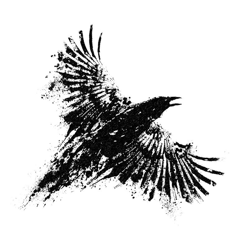 crow