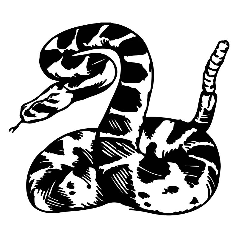 rattlesnake