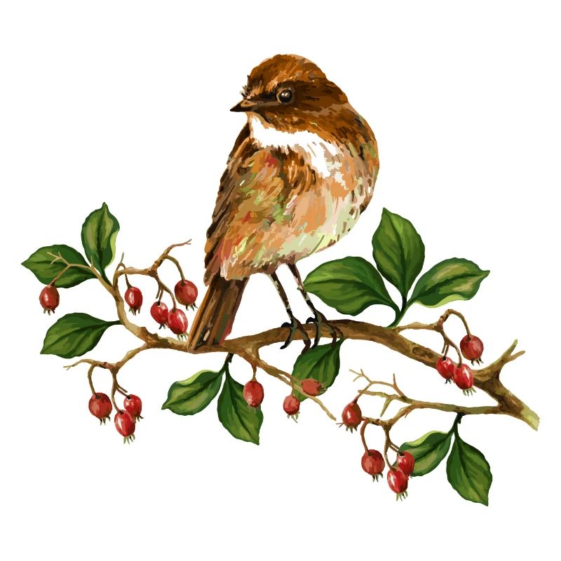 Bunter Vogel