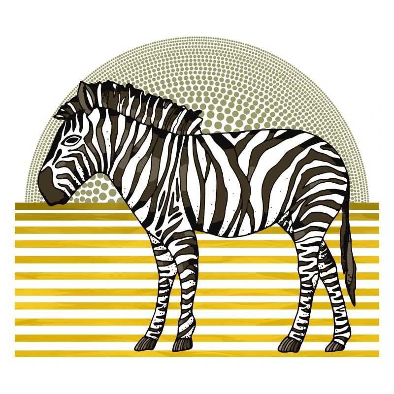 Zebra