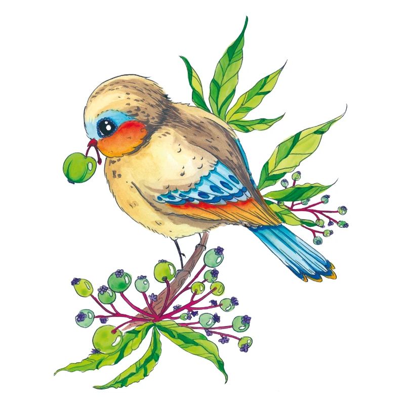 Vogelfreund