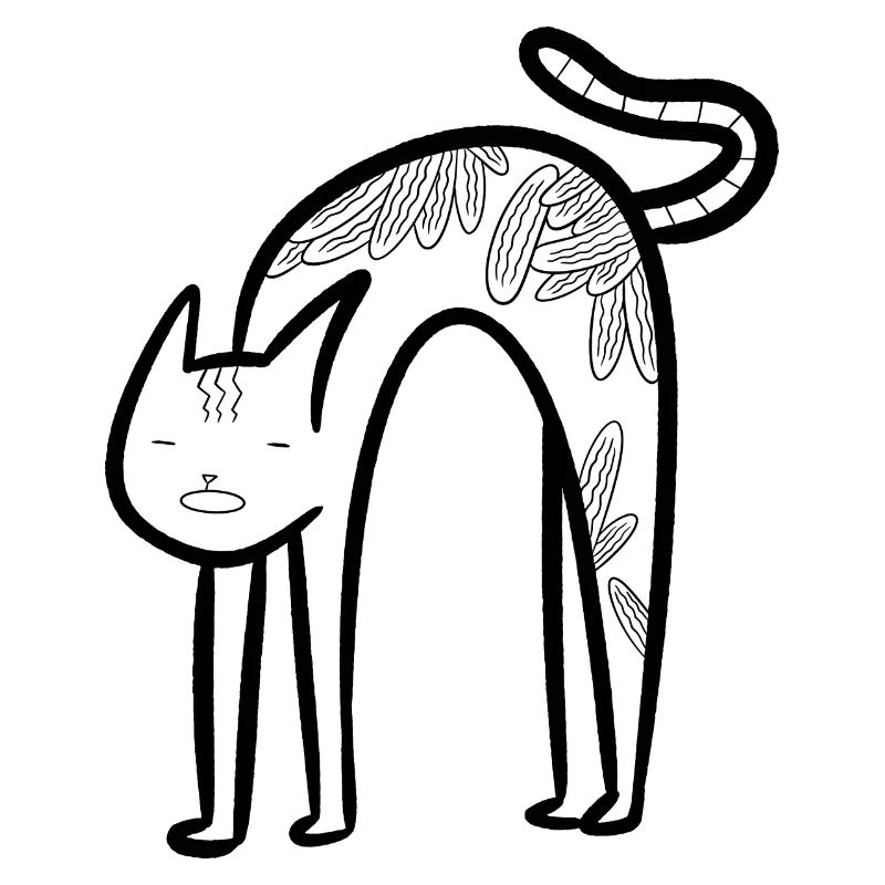 Lustige Katze