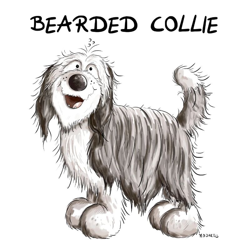 Süßer Bearded Collie