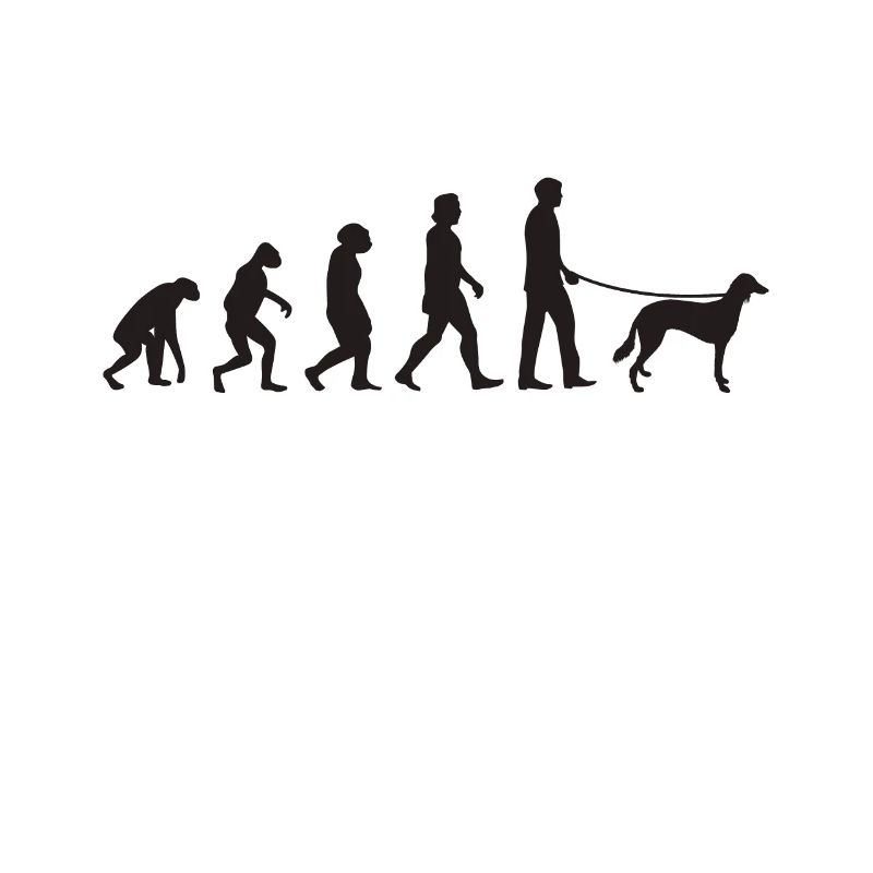 Saluki Evolution Persischer Windhund Geschenk