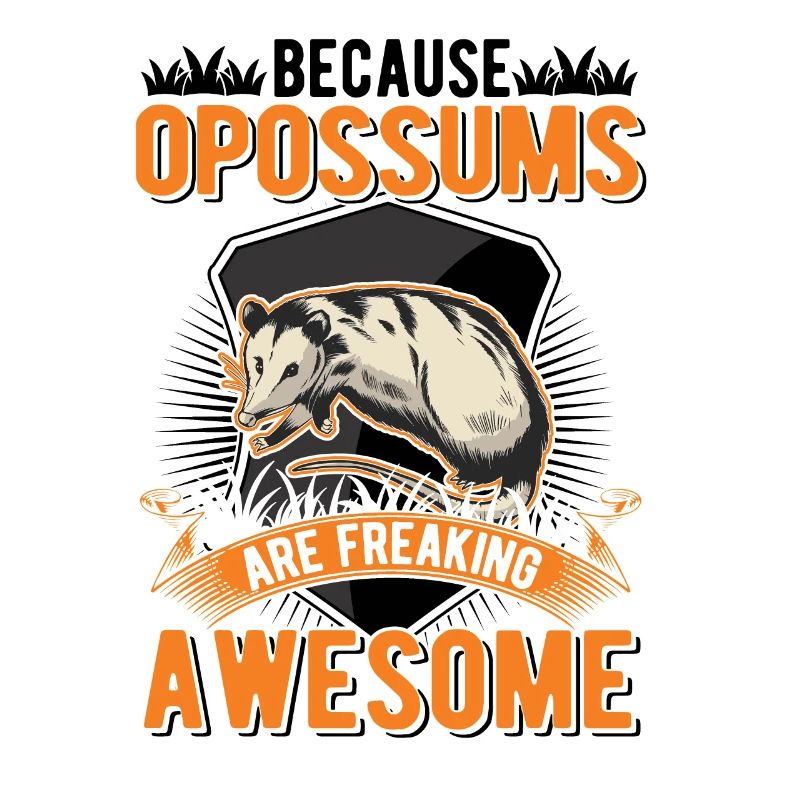 Parce que les opossums sont impressionnants