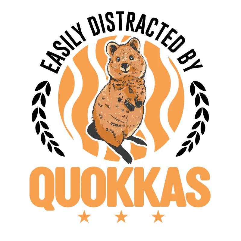 Facilement distrait par le kangourou à queue courte de Quokka