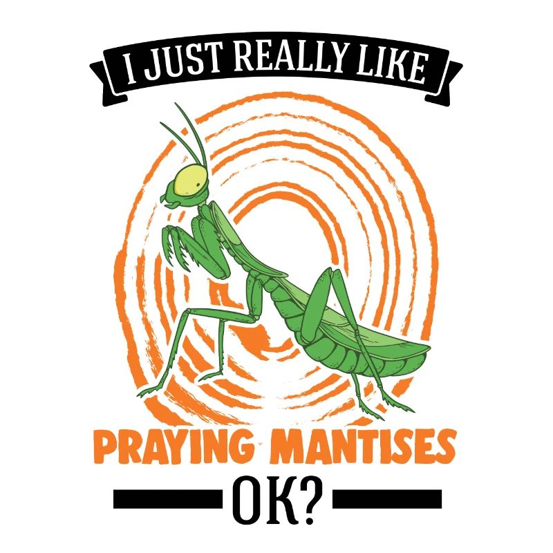 Praying Mantis Gift Mantis Mantis Mantis Fangschrecke