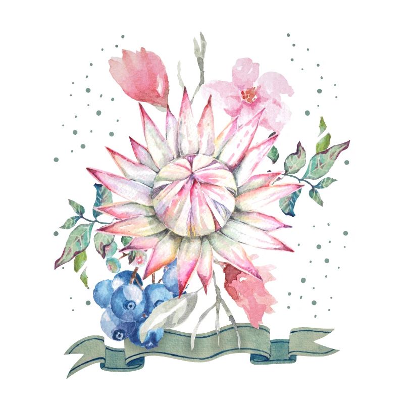Protea-Aquarell, Protea-Illustration