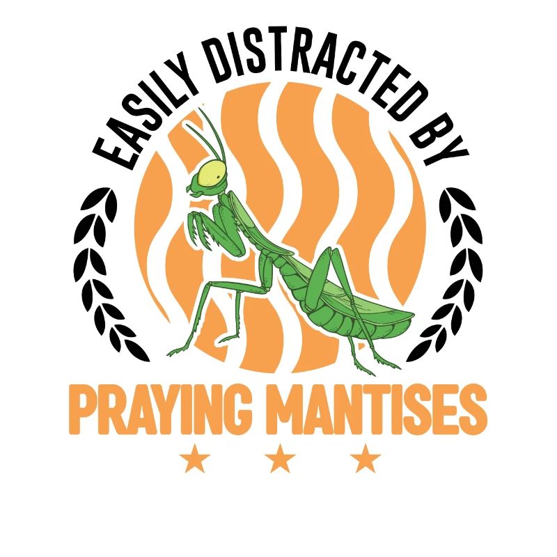Gottesanbeterin Mantis Fangschrecke