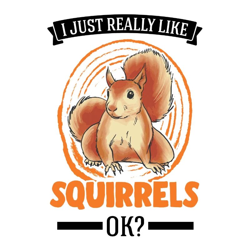 I just really like Squirrels Eichhörnchen