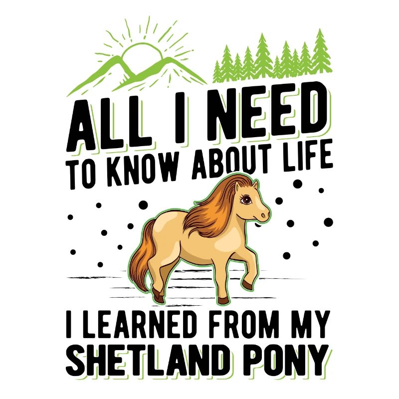Shetlandpony Shetland-Pony Shetty