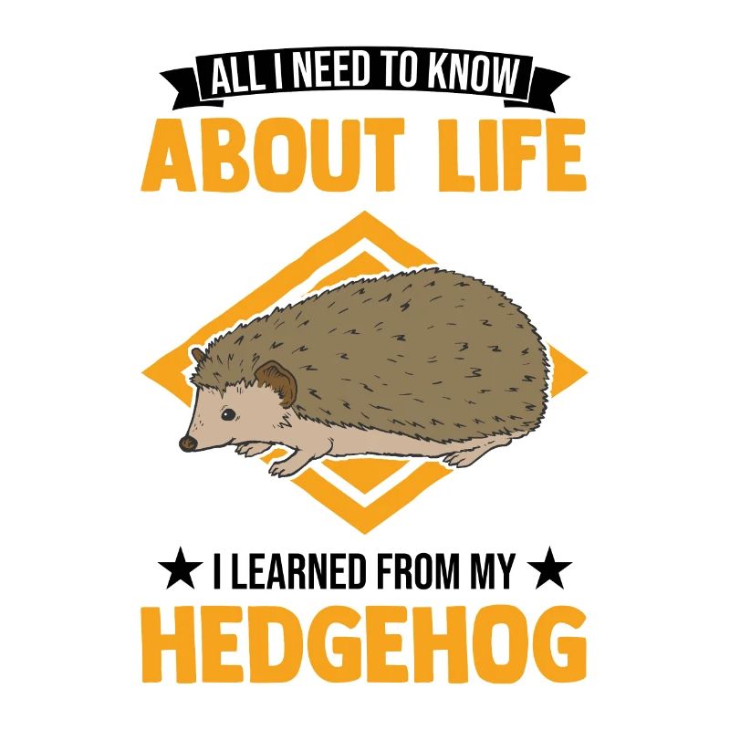 Igel Geschenk Stacheligel