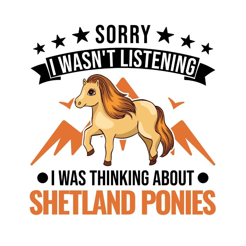 Shetlandpony Shetland-Pony Shetty