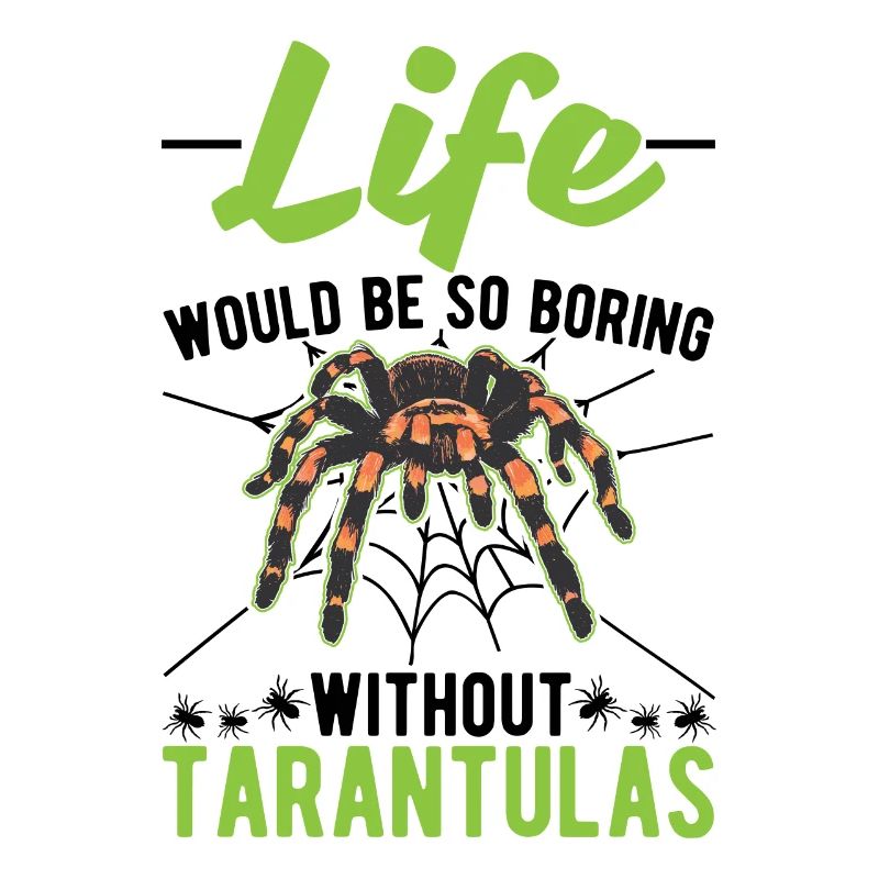 Tarantula Gift Spider Tarantula