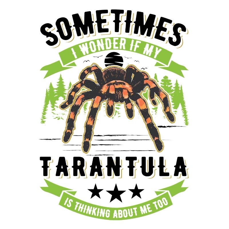 Tarentule Araignée Tarentule