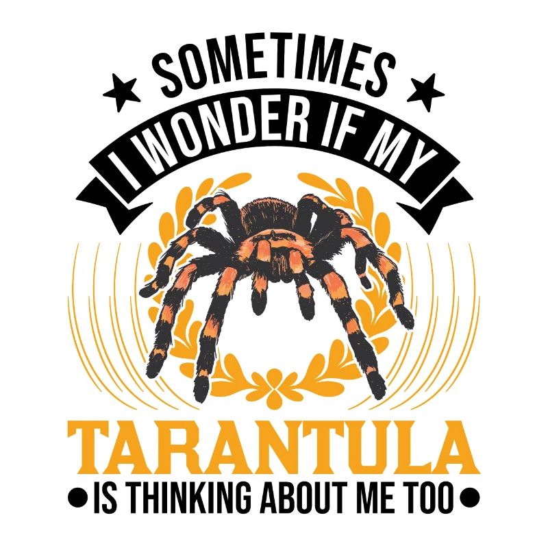 Tarantel Spinne Tarantula