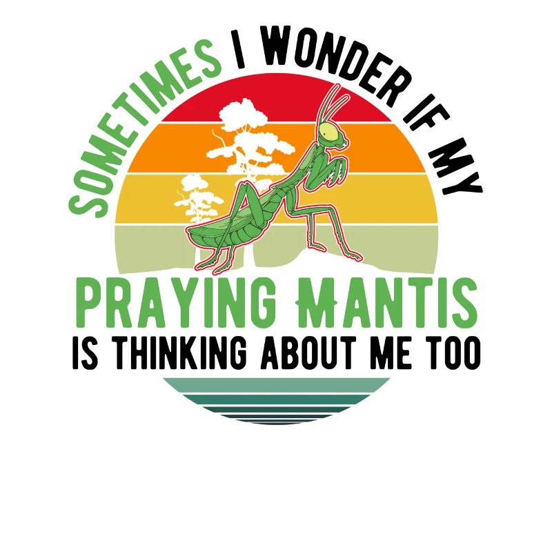 Praying Mantis Gift Mantis Mantis