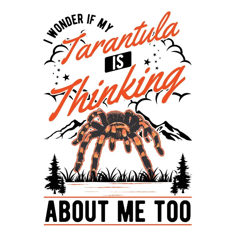 Tarantel Spinne Tarantula