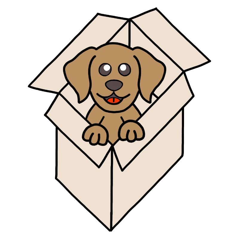 Kuschelhund im Karton