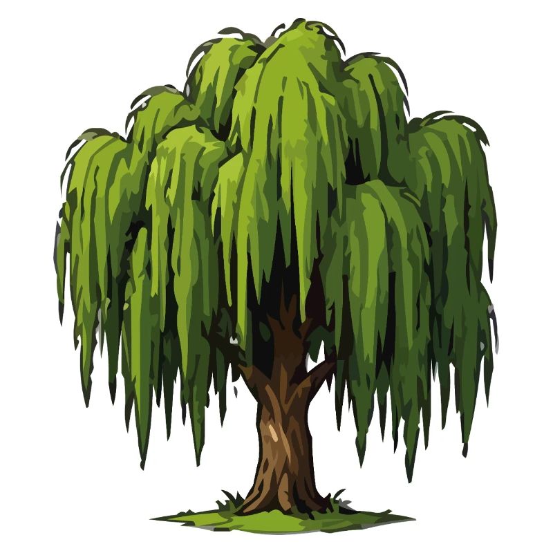 Weeping Willow Graphic