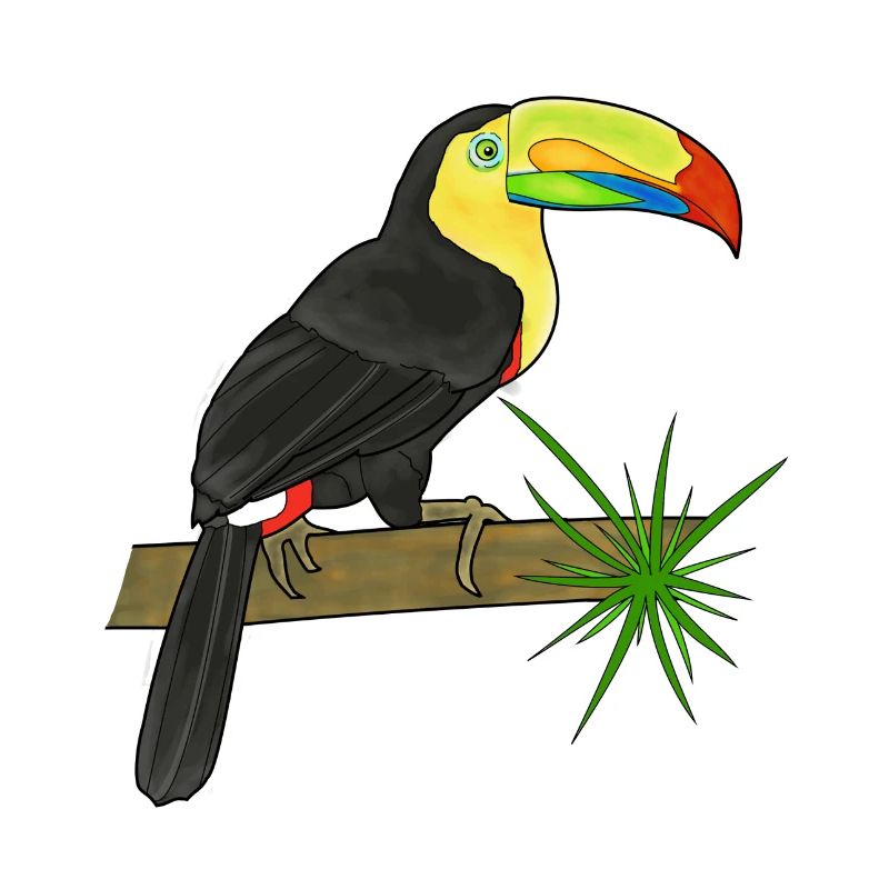 Tukan