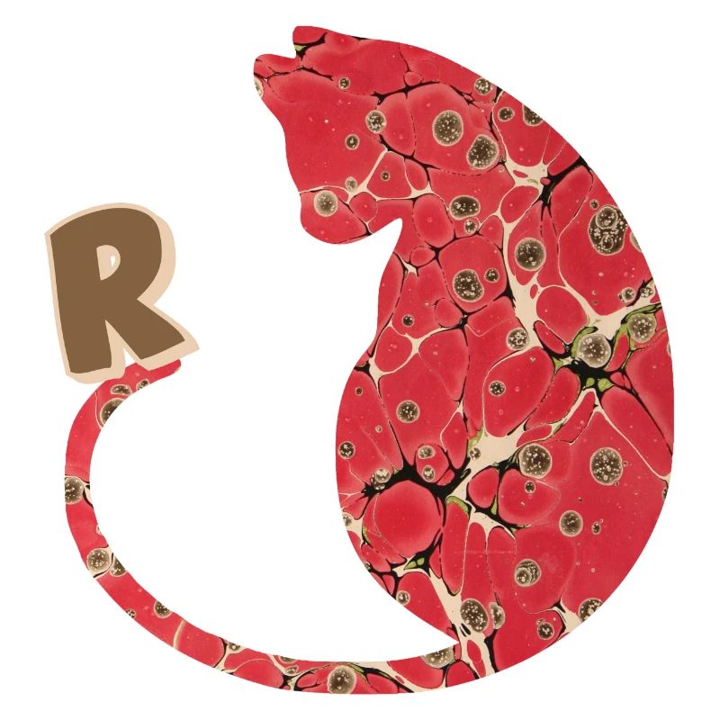 lettre r avec chat e 245