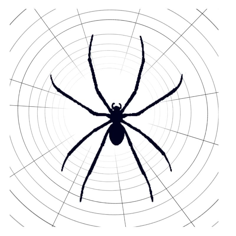 Spinne Spider jungen Pullover