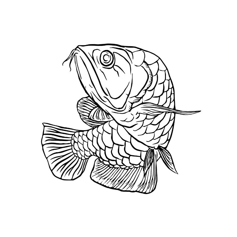 Angler Fisch Tier