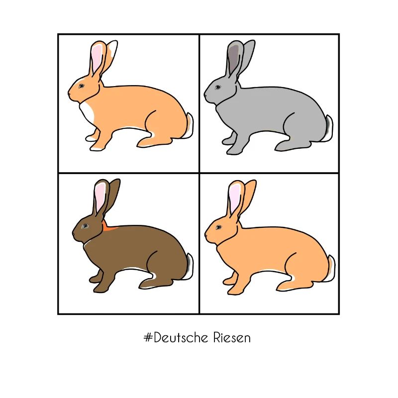 Deutsche Riesenkaninchen