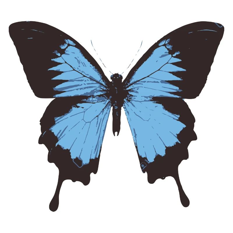 Schmetterling