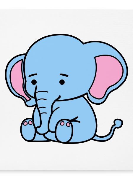 cute elephant