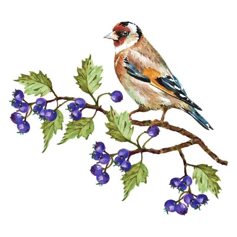 Bunter Vogel