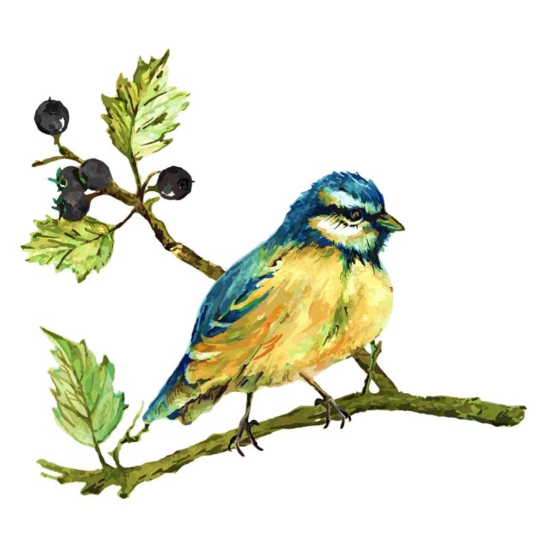 Bunter Vogel