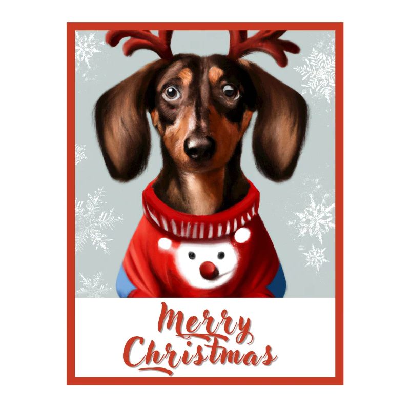 Porträt eines Dackels im roten Weihnachtspullover
