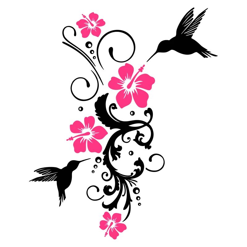 Kolibri Hibiskus Sommer Hummingbird