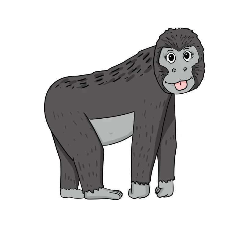 Gorilla