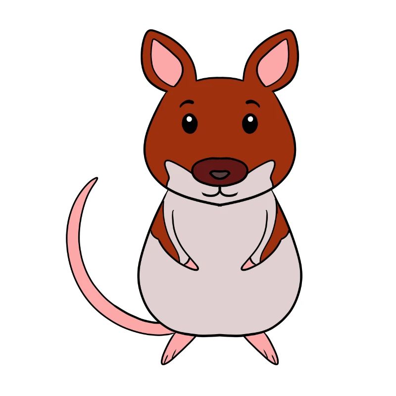 Waldmaus Maus