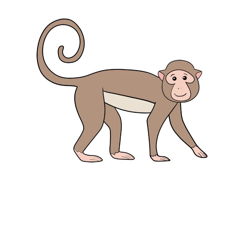 Büschelaffe Affe