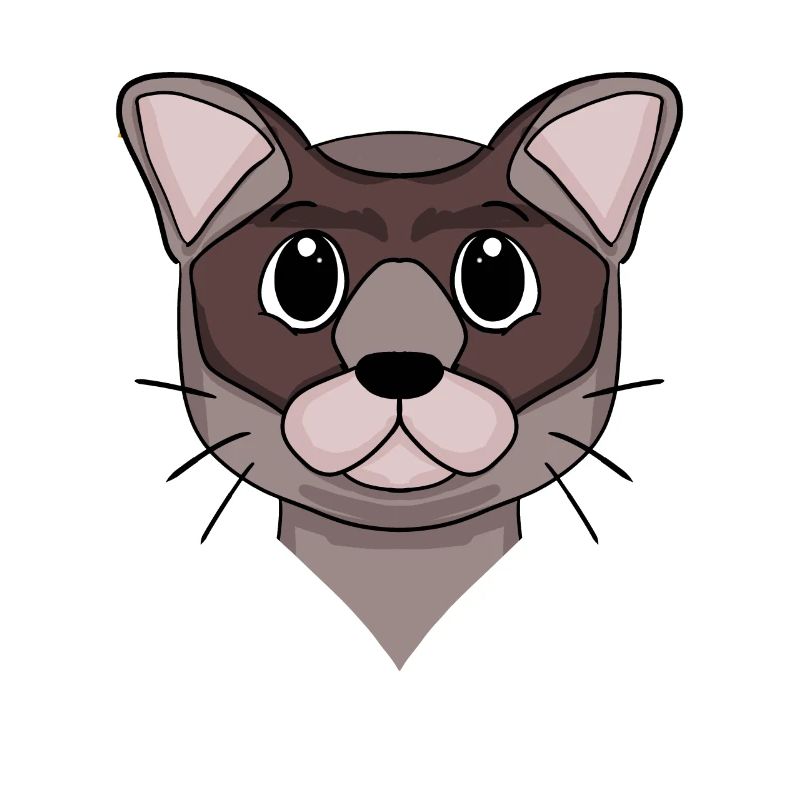Burma Katze