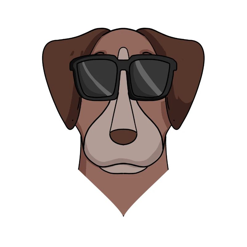 Pointer Hund Hunderasse