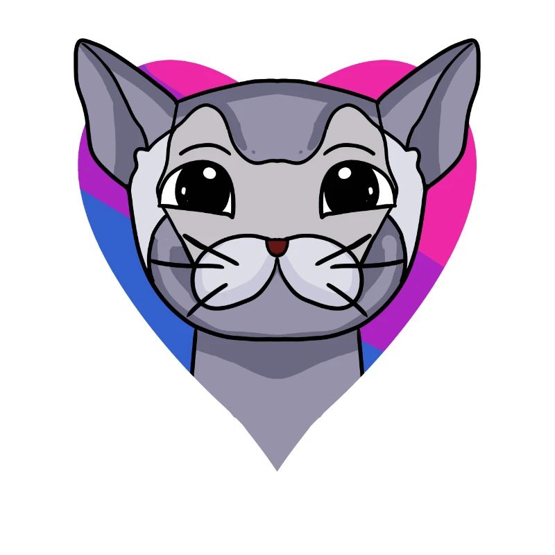 Bisexuell Britisch Kurzhaar Katze Geschenk