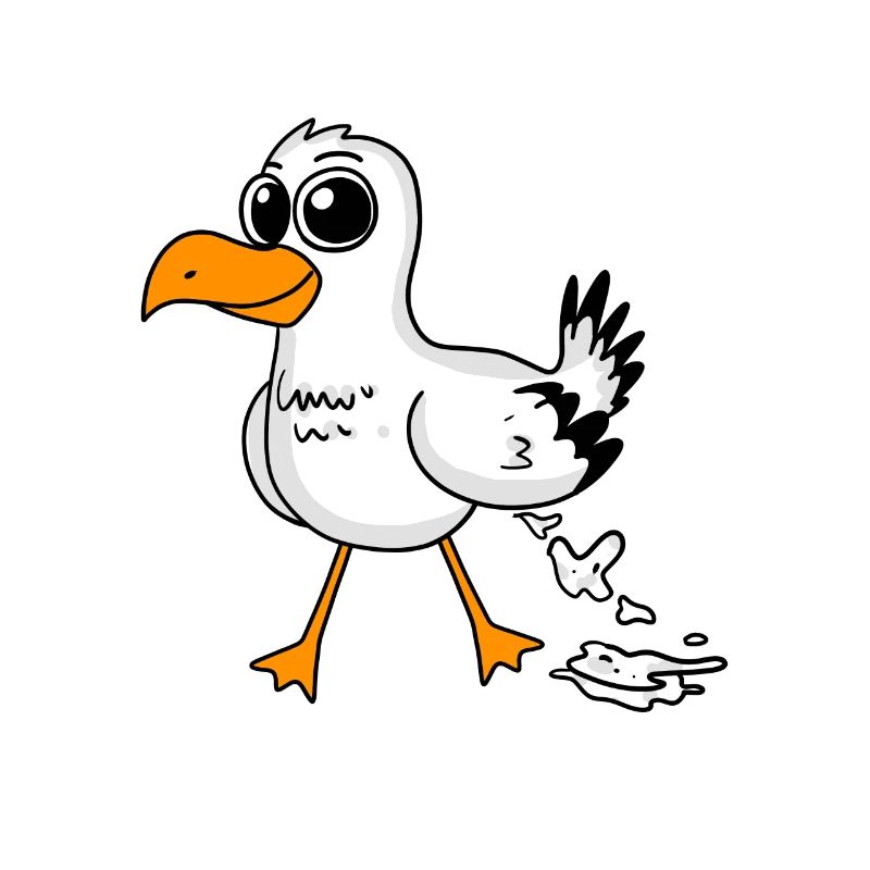 Möwe Lustig Motiv